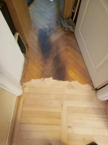 IMG20250531094233692